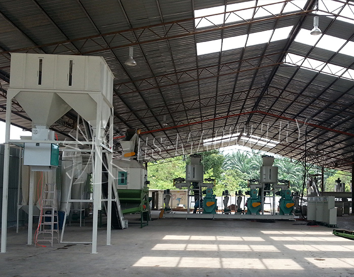 Proyecto de palma EFB de 5 toneladas / hora en Sudeste Asiático